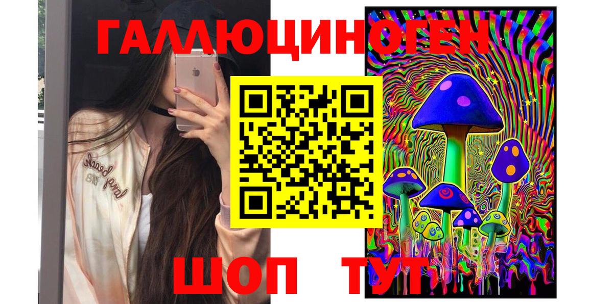 Псилоцибиновые грибы Psilocybe  Вход с VPN  Шадринск 