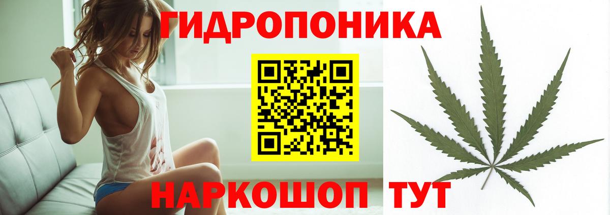 Шадринск  Шишки марихуана индика  Бошки марихуана Bruce Banner  Вход с VPN 